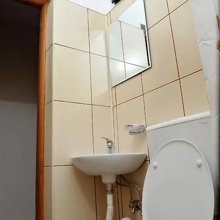 Casa de hóspedes Pensiunea Elmo